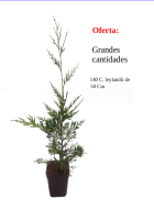 oferta 140 ley m10 sin precio8